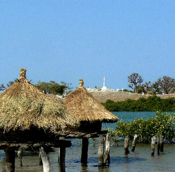 Découvrez les Greniers de Joal-Fadiouth, un site historique fascinant qui témoigne de l'ingéniosité et des traditions ancestrales de la région. Ces greniers, perchés sur des structures en bois, sont utilisés pour stocker les récoltes et protéger les biens précieux des intempéries et des voleurs.