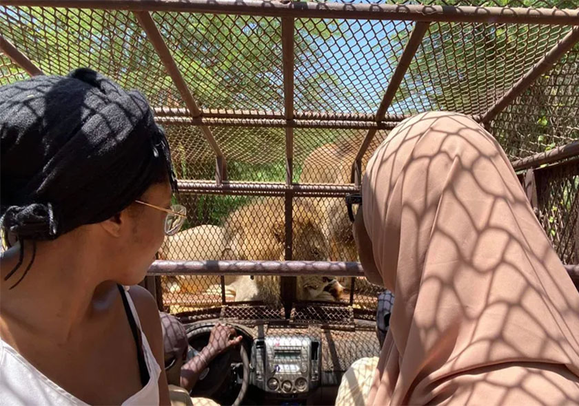 "Vivez une aventure palpitante en 4x4 au Ranch de Bandia, où l’exploration devient une épopée au cœur de la nature sauvage. Traversez des paysages à couper le souffle et plongez dans un monde où la faune majestueuse évolue en liberté. Ressentez l'adrénaline de chaque instant alors que vous vous enfoncez dans des territoires préservés, à la rencontre de créatures extraordinaires