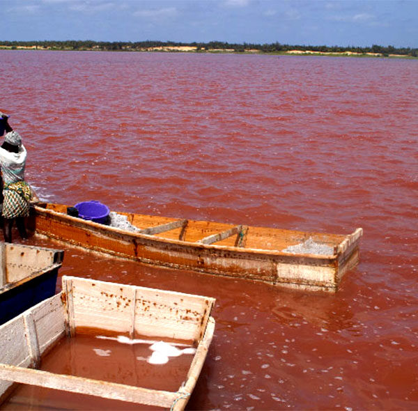 Excursion Bandia et Lac Rose