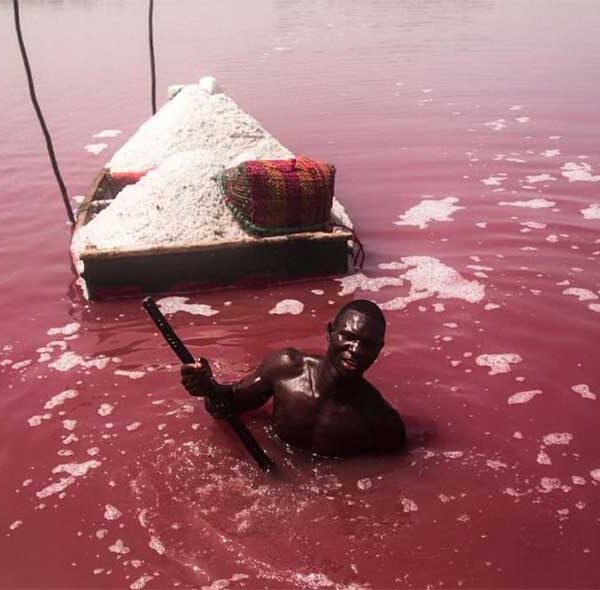 Plongez dans l'univers fascinant des récolteurs de sel au Lac Rose, une tradition séculaire qui vous plonge au cœur de l'authenticité. Assistez à l'incroyable spectacle de ces hommes et femmes courageux qui extrayant le sel des eaux salées, créant ainsi une scène saisissante de travail acharné et de détermination
