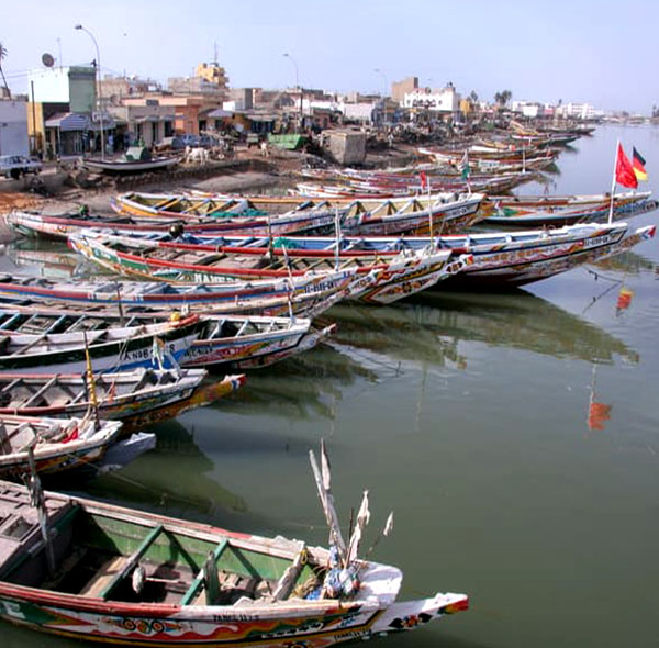 Le port de Guet-Ndar, situé à Saint-Louis du Sénégal, est un lieu vibrant qui incarne l’essence même de la ville. D’abord, ce port historique, cœur de l’activité locale, est le théâtre quotidien des pêcheurs traditionnels qui ramènent une abondance de poissons frais. Ensuite, ses bateaux colorés et son ambiance animée témoignent de l’importance de la mer dans la vie des Saint-Louisiens.