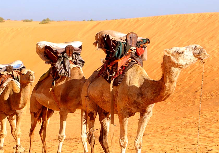 Blog Voyage Sénégal