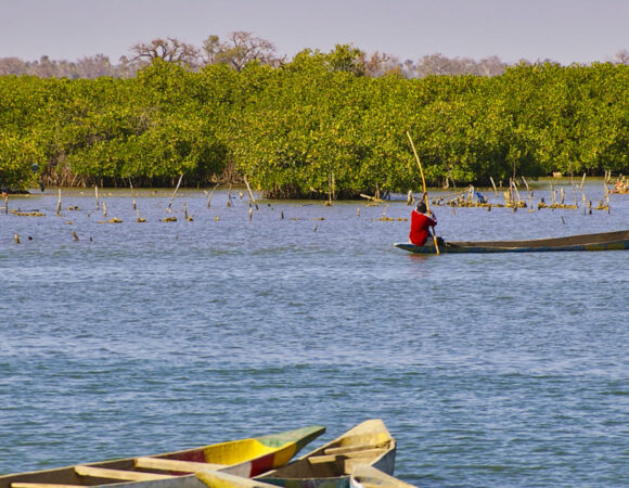 Les Îles du Saloum : Un joyau naturel au cœur du Sénégal