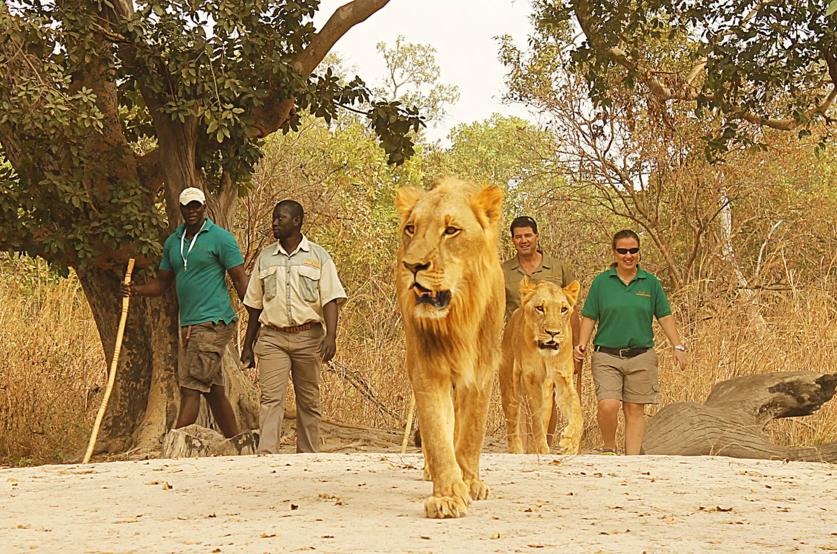 Excursion Réserve de Fathala & Îles du Saloum