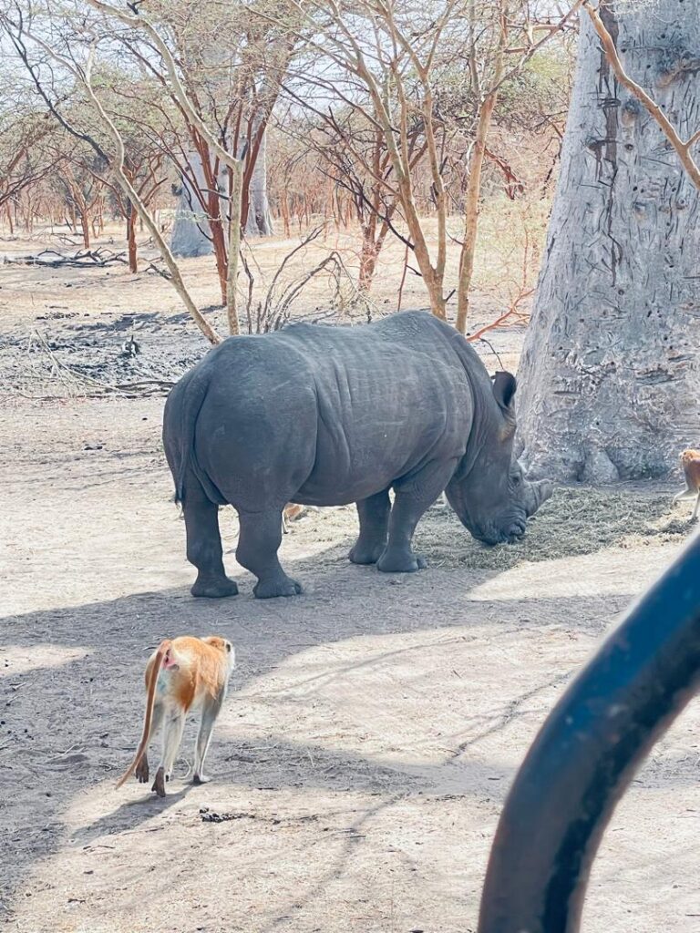 Excursion Réserve de Bandia