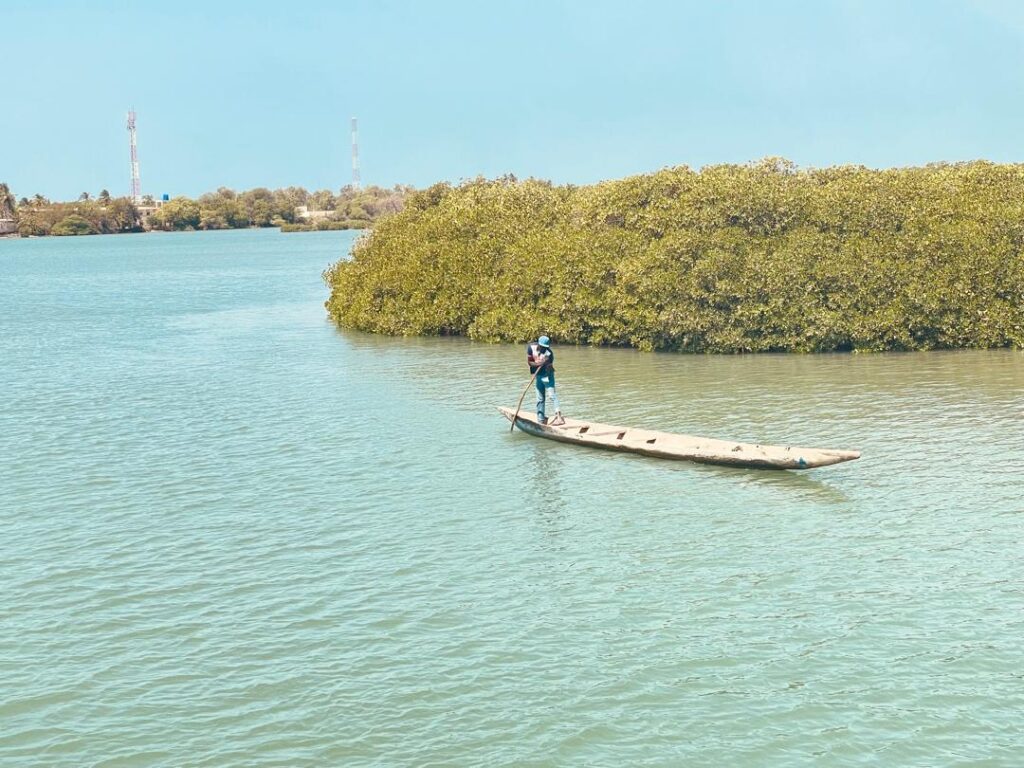 Excursion aux Îles du Saloum
