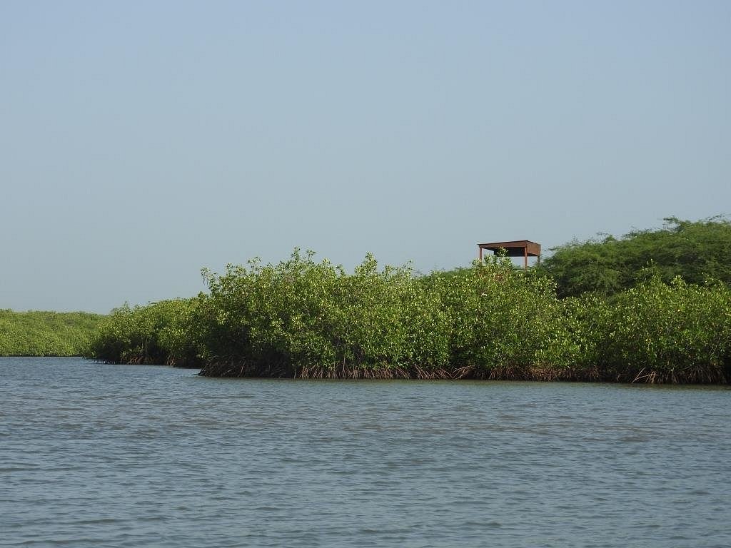 Excursion à la Lagune de Somone