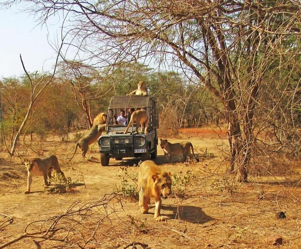 Safari au Ranch de Bandia
