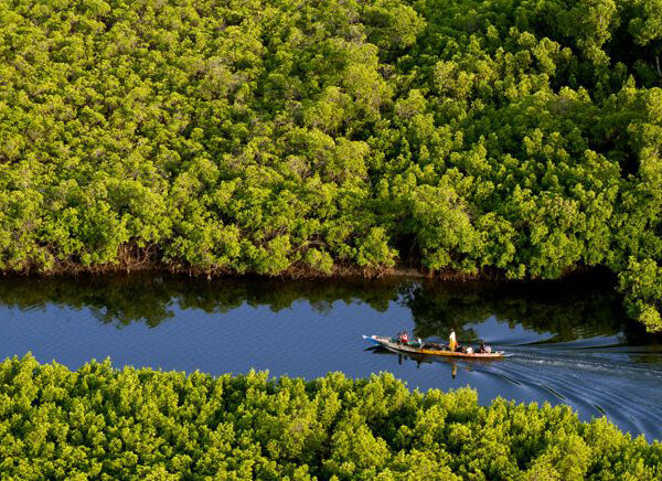 Les Îles du Saloum : un trésor naturel du Sénégal