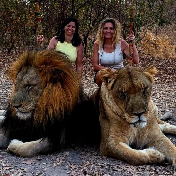 reserve de Fathala au dèpart de riu baobab avec les CORSES