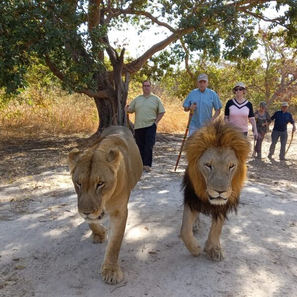 Circuit une nuit a Toubacouta avec la reserve de Fathala (Saly)