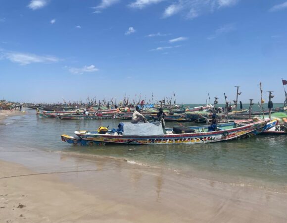 Excursion Arrivée des Pêcheurs & Marché de Mbour depuis saly