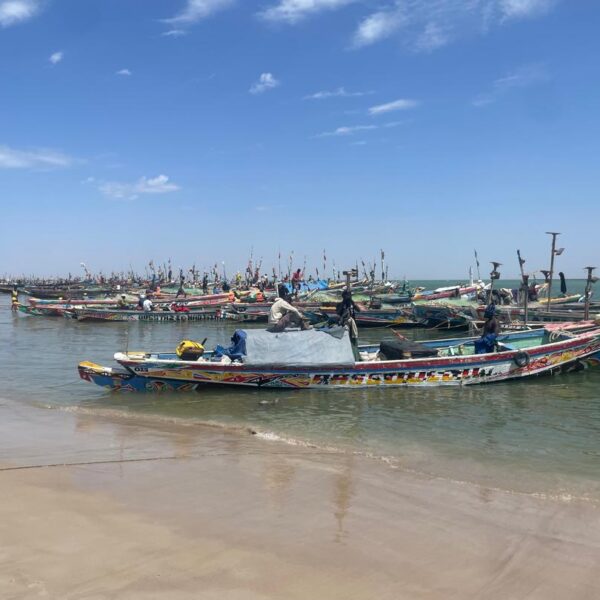Excursion Arrivée des Pêcheurs & Marché de Mbour depuis saly